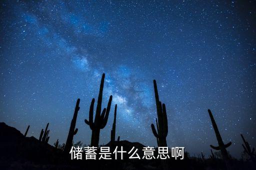 儲(chǔ)蓄是什么意思啊