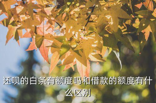還唄白條是什么，受累問(wèn)下還唄白條是什么意思