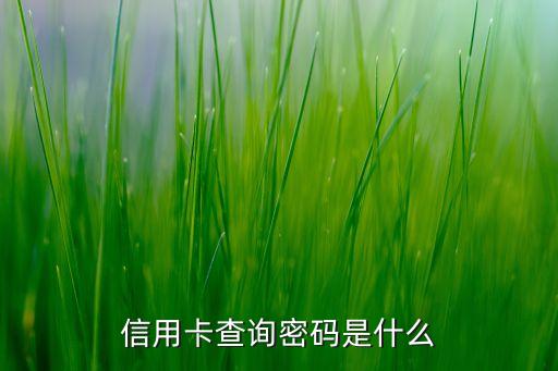 信用卡查詢密碼是什么