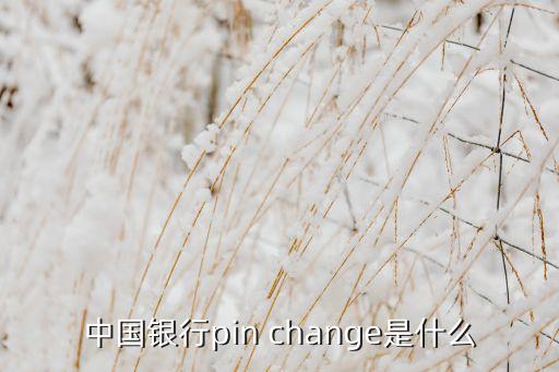 中國銀行pin change是什么