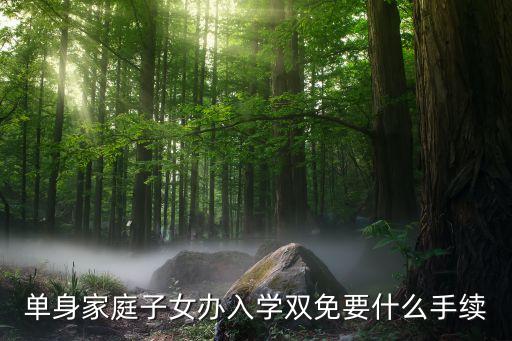 雙免補(bǔ)貼需要什么手續(xù)，單身家庭子女辦入學(xué)雙免要什么手續(xù)