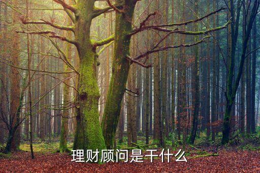 理財顧問是干什么