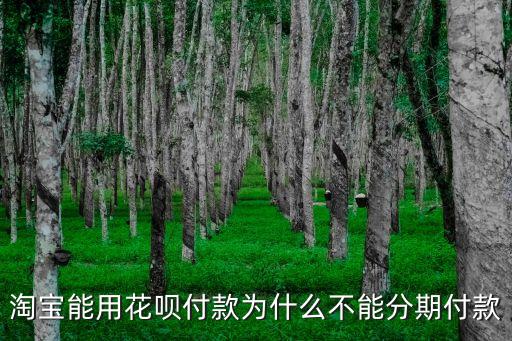 淘寶能用花唄付款為什么不能分期付款