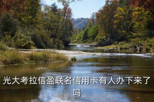 光大考拉信盈聯(lián)名信用卡有人辦下來了嗎
