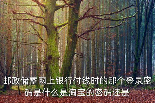 郵政儲蓄網(wǎng)上銀行付錢時的那個登錄密碼是什么是淘寶的密碼還是