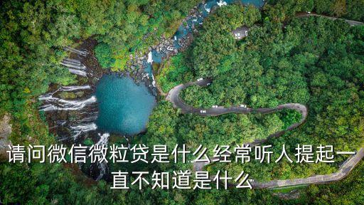 請問微信微粒貸是什么經(jīng)常聽人提起一直不知道是什么
