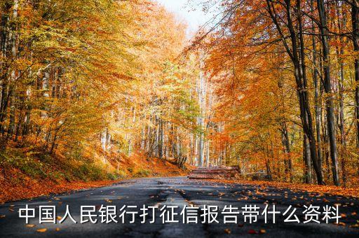 中國人民銀行打征信報告帶什么資料