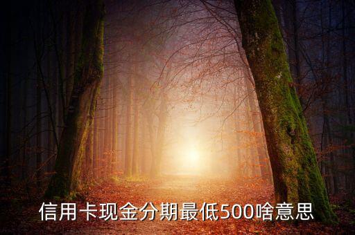 申請現(xiàn)金分期什么意思，信用卡現(xiàn)金分期最低500啥意思