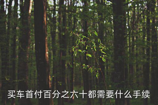車貸首付50要什么條件，貸款買車首付50需要什么手續(xù)