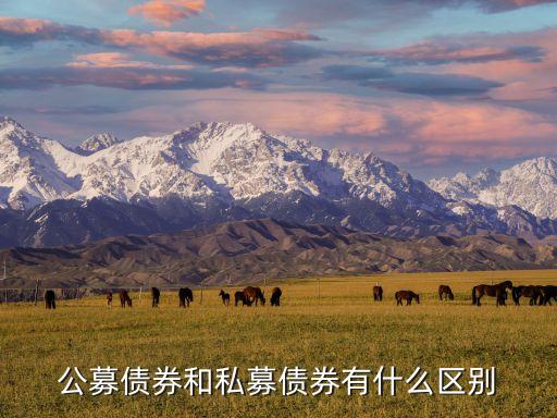 私募債和公司債有什么區(qū)別，私募債和公司債的區(qū)別