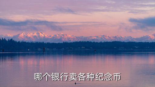 紀(jì)念幣什么銀行可以買到，央行發(fā)行的紀(jì)念幣在哪個銀行可以買到