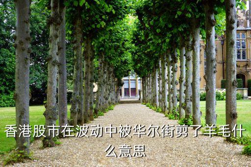 香港股市在波動(dòng)中被華爾街剪了羊毛什么意思