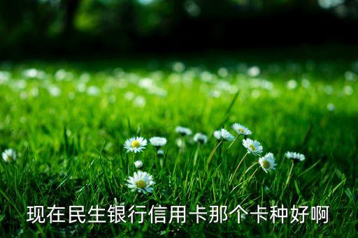 現(xiàn)在民生銀行信用卡那個卡種好啊