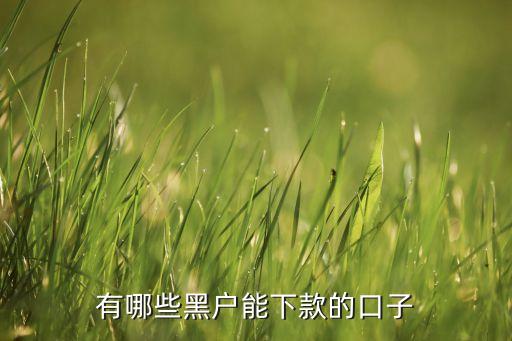 有哪些黑戶能下款的口子