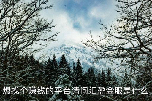 想找個(gè)賺錢的平臺(tái)請(qǐng)問(wèn)匯盈金服是什么