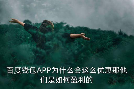 百度錢包APP為什么會(huì)這么優(yōu)惠那他們是如何盈利的