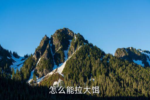 怎么能拉大餌