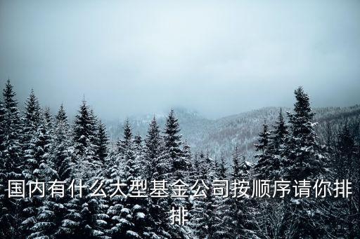 國內有什么大型基金公司按順序請你排排