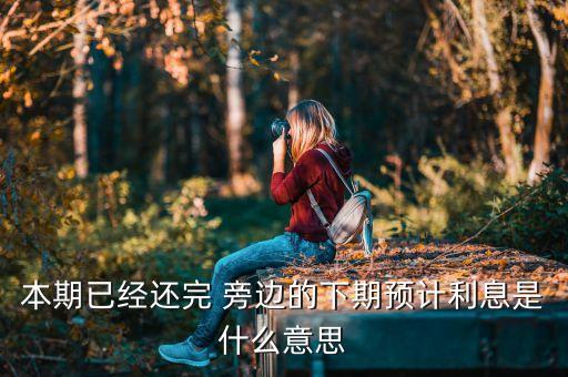 口貸網(wǎng)預(yù)計(jì)利息是什么意思，借錢1500利息500是什么意思