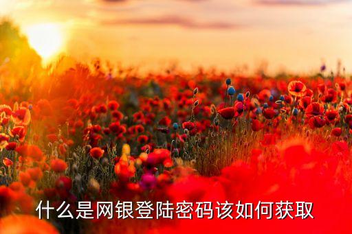什么是網(wǎng)銀登陸密碼是什么情況，網(wǎng)銀甚么是登陸密碼