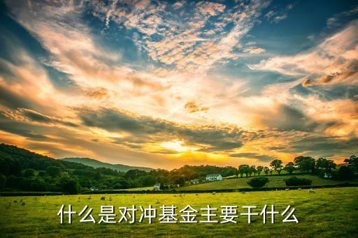 什么是對沖基金主要干什么