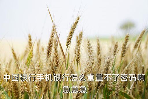 中國銀行手機(jī)銀行怎么重置不了密碼啊 急急急
