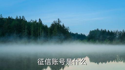 征信帳戶(hù)是什么，征信賬號(hào)是什么
