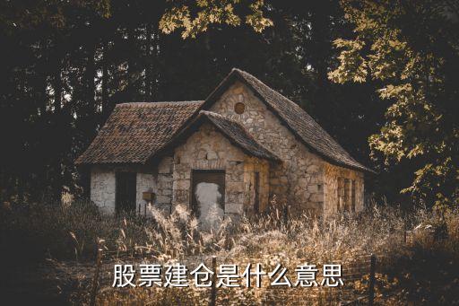 建倉(cāng)買票是什么意思，建倉(cāng)股票是什么意思