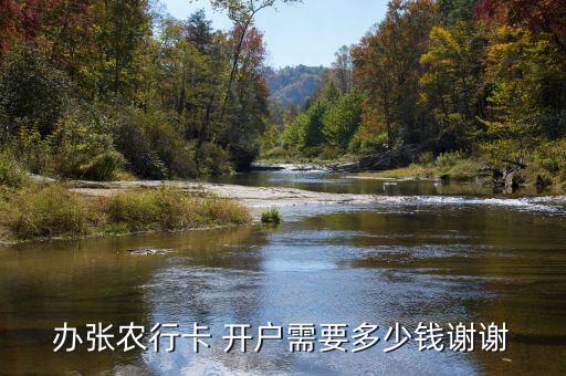 辦張農(nóng)行卡 開戶需要多少錢謝謝