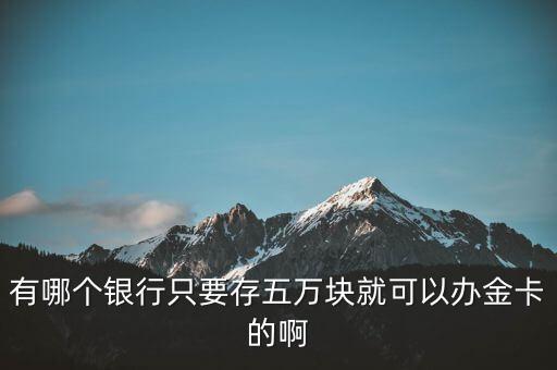 有哪個銀行只要存五萬塊就可以辦金卡的啊