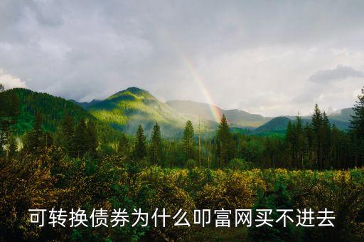 為什么不能購(gòu)買可轉(zhuǎn)債，為什么證券帳戶不能申購(gòu) 可轉(zhuǎn)債
