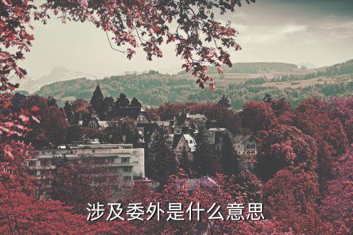 涉及委外是什么意思