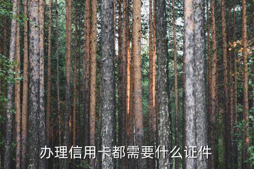 去柜臺(tái)辦信用卡都需要什么，到銀行辦理信用卡需要什么