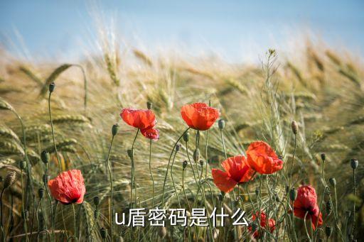 u盾證書密碼是什么，U盾的證書密碼指的是什么啊