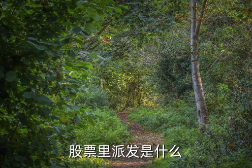 股票里派發(fā)是什么
