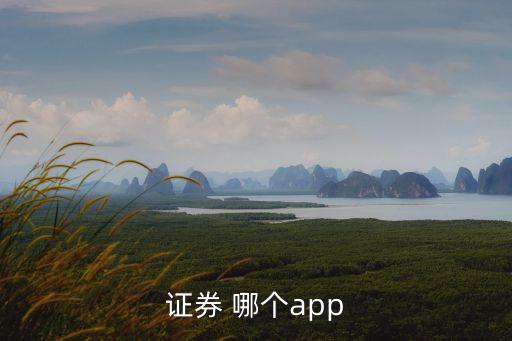 證券 哪個app