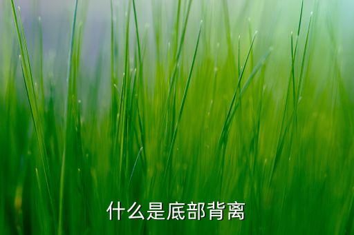 底背離是什么意思，證券投資學(xué)中底背離是什么意思