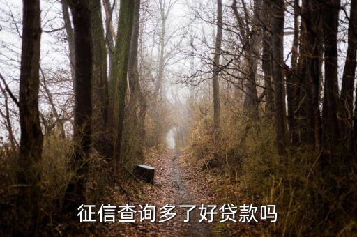 征信查的多還能貸什么，我征信網(wǎng)貸點多了還能貸款嗎