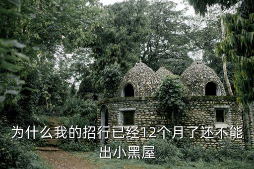 為什么我的招行已經(jīng)12個月了還不能出小黑屋
