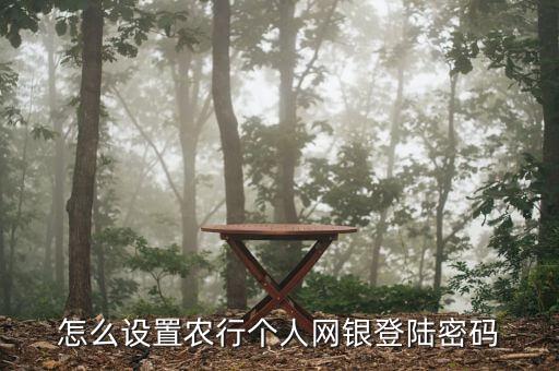 怎么設(shè)置農(nóng)行個(gè)人網(wǎng)銀登陸密碼