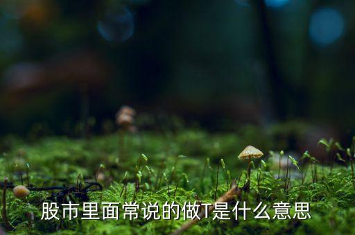 股市里面常說的做T是什么意思