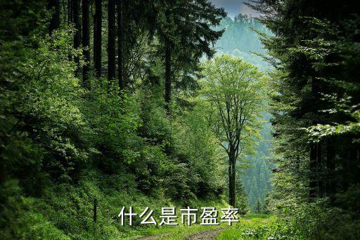 什么是市盈率