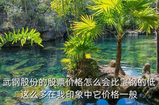 武鋼股份 股價 為什么低凈值，武鋼股份的股價這么底是不是要破產(chǎn)嗎為什么