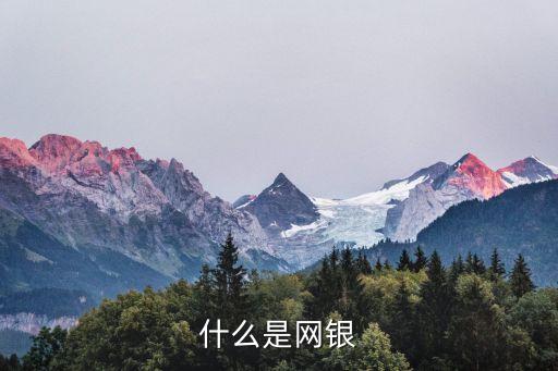 什么是網(wǎng)銀