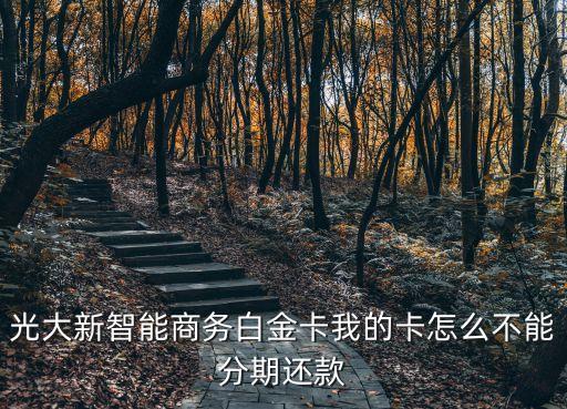 光大為什么不能分期，光大信用卡顯示狀態(tài)異常無(wú)法分期是什么