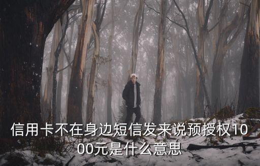 信用卡不在身邊短信發(fā)來(lái)說(shuō)預(yù)授權(quán)1000元是什么意思