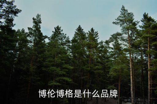 博倫博格是什么品牌