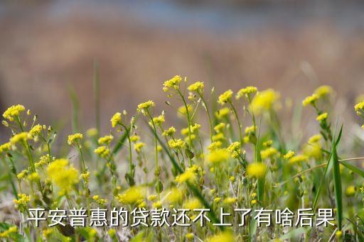 平安普惠的貸款還不上了有啥后果