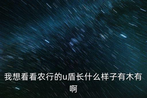 我想看看農(nóng)行的u盾長(zhǎng)什么樣子有木有啊