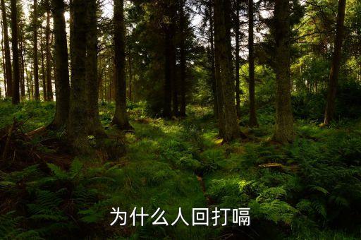 打額的原因是什么意思是什么原因，為什么我想打嗝就打嗝